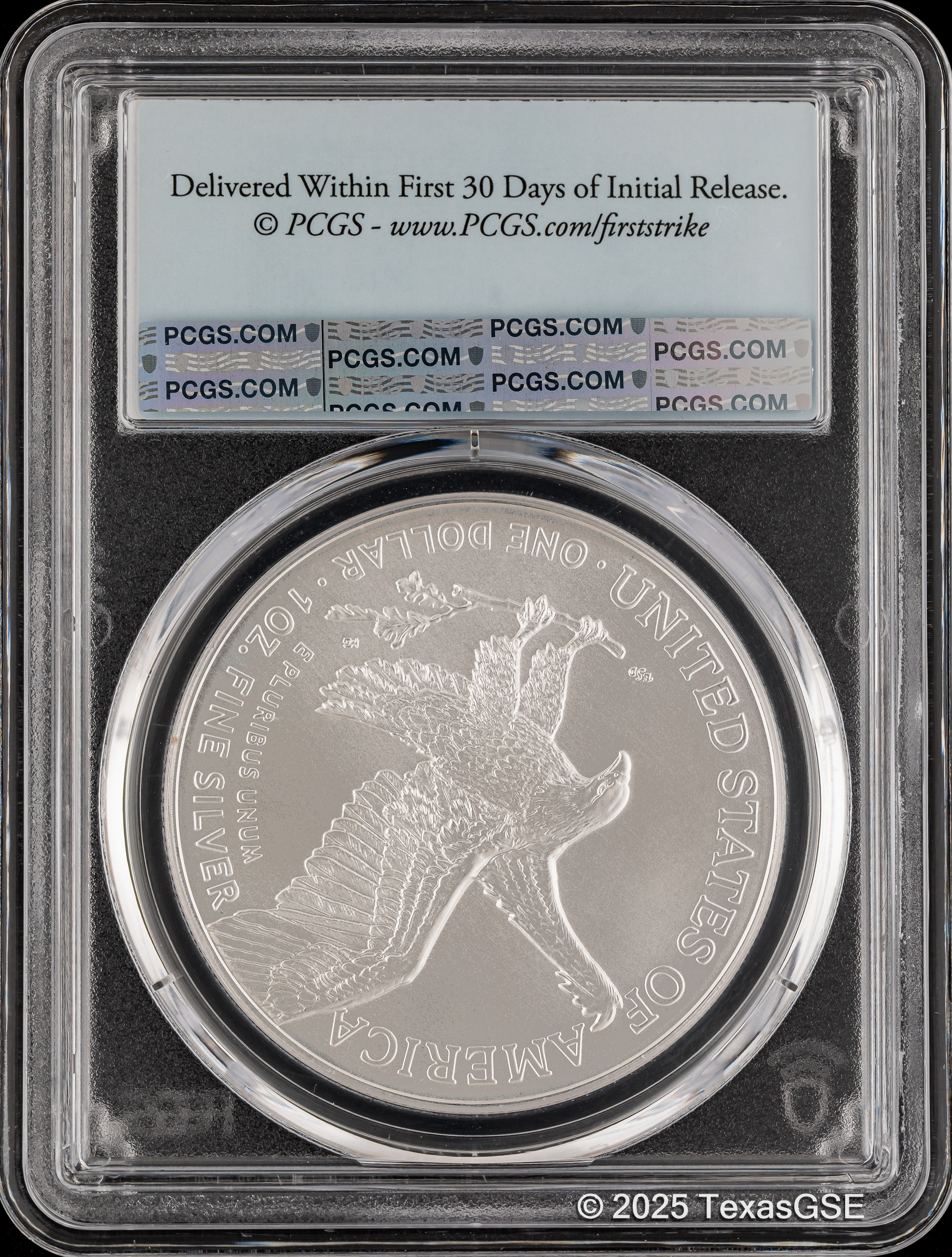 2024 $1 Silver American Eagle First Strike PCGS MS70 - Blue Flag